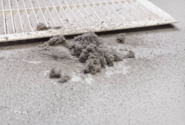 Best Dryer Vent Cleaning Services  in Ludowici, GA