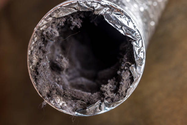 Best Affordable HVAC Duct Cleaning  in Ludowici, GA
