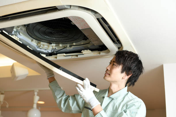 Best HVAC System Cleaning  in Ludowici, GA
