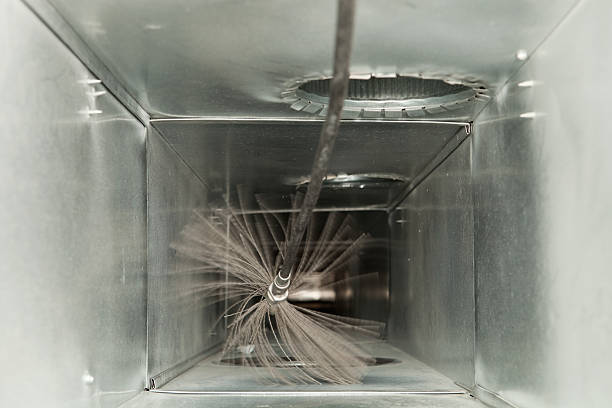 Best Professional Duct Cleaning Services  in Ludowici, GA