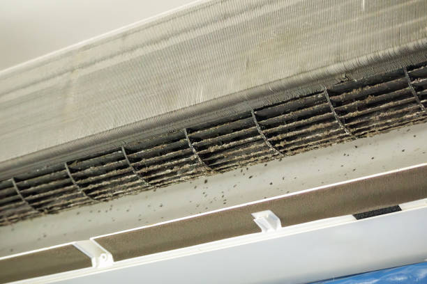 Best Residential Air Duct Cleaning  in Ludowici, GA