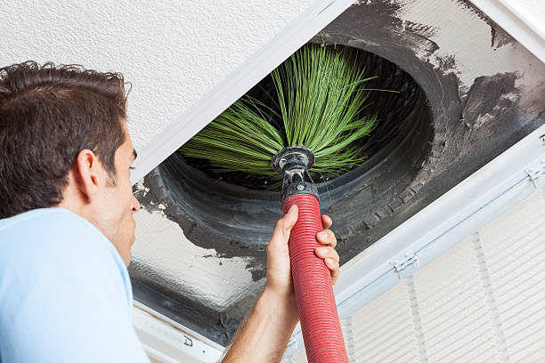 Best Residential Air Duct Cleaning  in Ludowici, GA