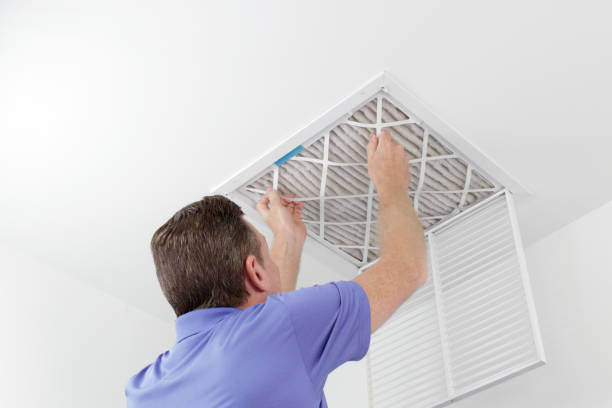 Best Ventilation Cleaning Services  in Ludowici, GA